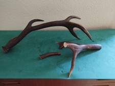 BOIS MUES CERF TEINTS DE 15/32/75CM ARTISANAT COUTELLERIE