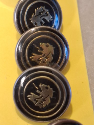 Lot boutons blazer - de, lion