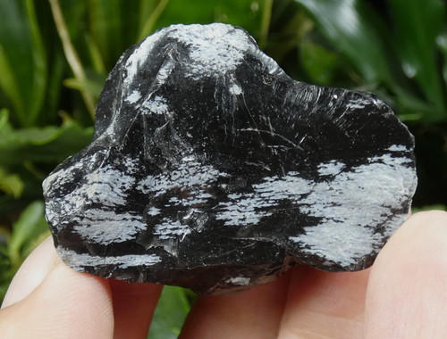 Obsidienne noire mouchetée - obsidienne,