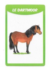 Carte 50 races de chevaux - Le dartmoor