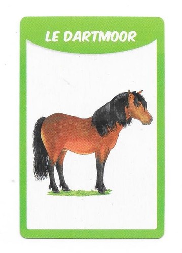 Carte races chevaux le - races, de