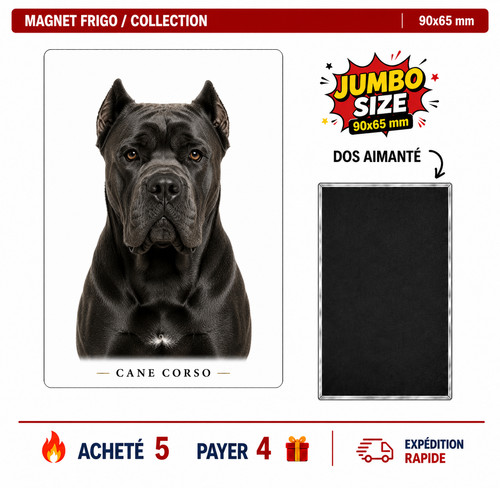 Magnet cane corso 90x65 - magnet,