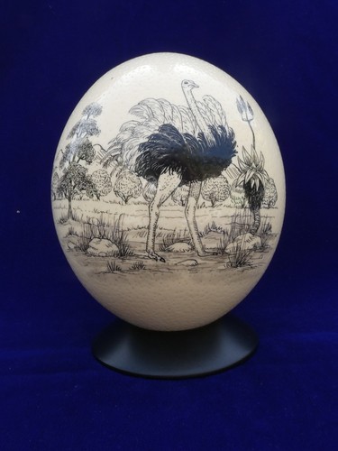 Superbe top oeuf d autruche - ++,