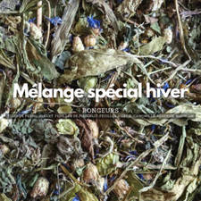 Mélange snacks pour rongeurs