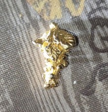 Fève Ancienne Grappe de