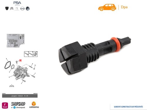 Vis purge thermostat - de,