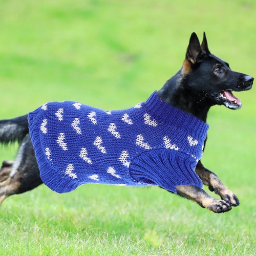 Pull chien petite taille - pull,