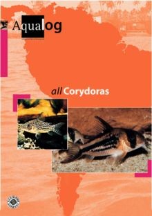 Aqualog all corydoras - aqualog,, bd.4,
