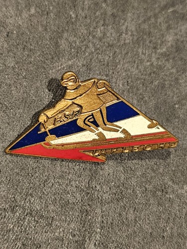Insigne broche ecole ski - ecole,
