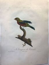 Le Tangara du Canada