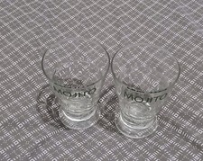 2 verres à mojito EXOTIQUE