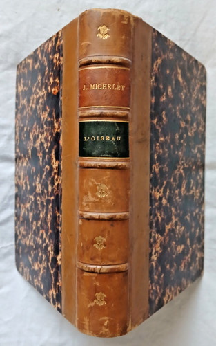 Oiseau par jules michelet - l',