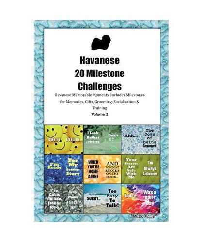 Havanese bichon havanais 20 - havanese,