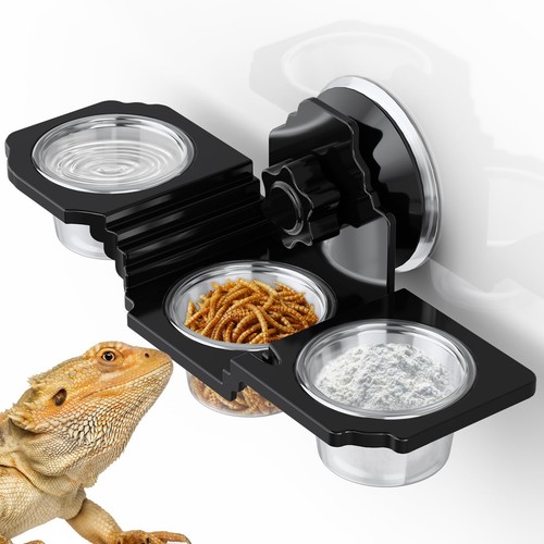 Crested gecko food dish - crested,