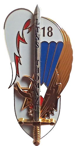 Insigne promo saint cyr 005 - insigne,