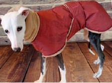 Manteau chien Lévrier moyen