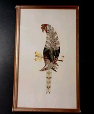 Tableau Taxidermie PERROQUET