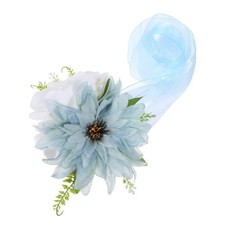  Embrasses de rideaux à