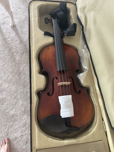 Antonius stradivarius violin - stradivarius,