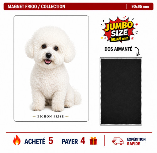 Magnet bichon frisé 90x65 - bichon,