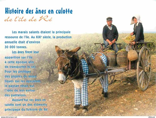 Carte postale ile de - carte,