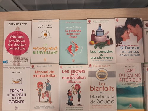 Lot livres poche - livres,