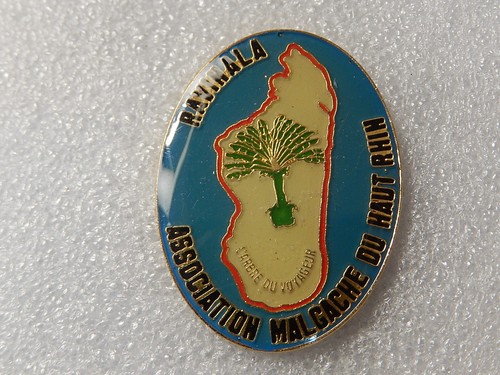 Pin ravinala - ravinala,