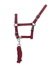 Cavezza Réfléchissante En