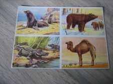 Ancienne planche images