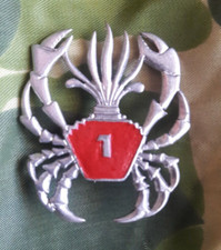 insigne legion etrangere indochine .. beret  1 REC amphibie local cavalerie 
