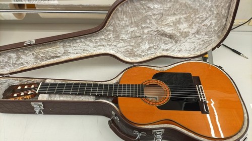 Asturias flamenco custom - asturias,