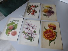 n9/ lot de 5 Chromolitho J.L