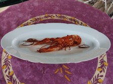 Plat ovale porcelaine - ovale,