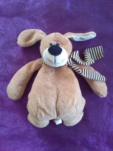 Doudou chien ours marron - doudou,