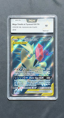 Carte pokémon méga - pokémon, méga-ténéfix