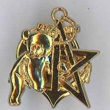 RICM 5° escadron Insigne de