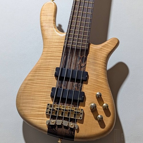 Warwick streamer stage 5st - streamer, i
