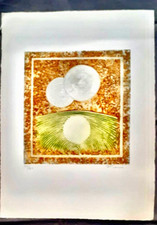 Gravure  de M. FIORINI