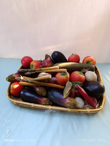 Gros lot légumes - légumes, factices