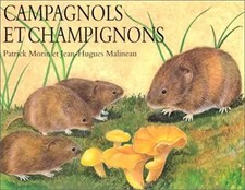 Campagnols champignons - campagnols,