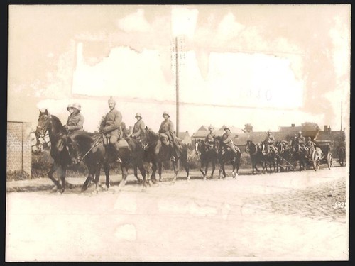 Photographie coupe du - 1.,