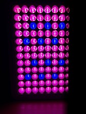 LED Grow Light 300W – Lampe