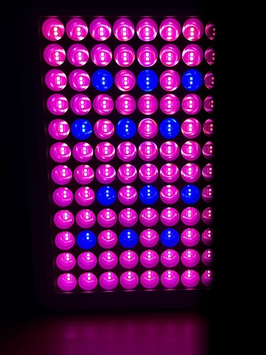 Led grow light 300w - led,