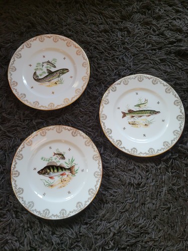 Assiettes plates décor - assiettes,