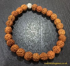 Rudraksha Bouddha Budha Perles