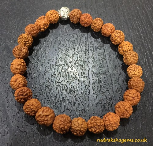 Rudraksha bouddha budha perles - budha,