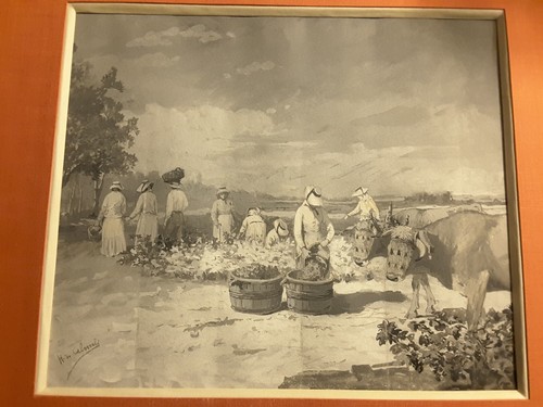 Tableau vendanges pays - vendanges,