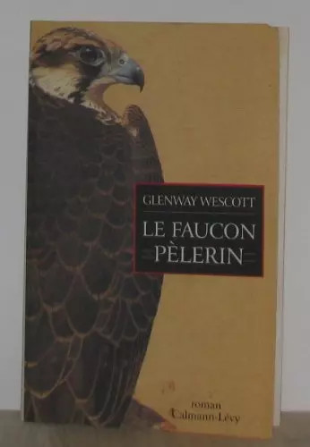 Faucon pèlerin glenway - faucon, pèlerin,