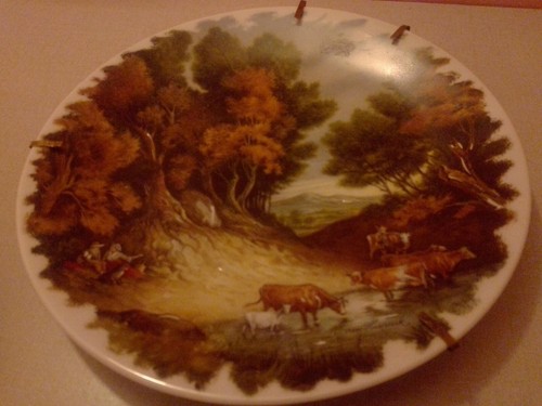 Lot assiettes collection - assiettes,