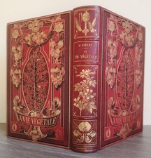 EMERY. La vie végétale